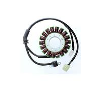 ElectroSport Stator ESG968 per alternatore