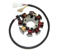 ELECTROSPORT STATORE ALTERNATORE HUSABERG 450 FE 2004-2008