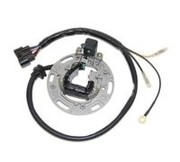 ELECTROSPORT STATORE ALTERNATORE KAWASAKI 85 KX 2001-2005