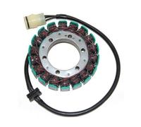 ELECTROSPORT STATORE ALTERNATORE KAWASAKI 600 NINJA ZX-6R 1998-2002