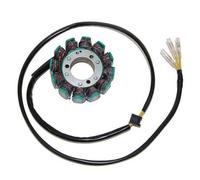 ELECTROSPORT STATORE ALTERNATORE SUZUKI 750 GS 1976-1980