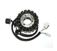 ELECTROSPORT STATORE ALTERNATORE SUZUKI SV N 650 2001-2007