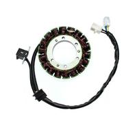 ElectroSport Statore Magnete per volano Arctic Cat 650