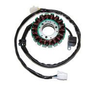 ElectroSport Statore Magnete per volano Arctic Cat DVX400 (04-08)