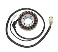 ElectroSport Statore Magnete per volano Kawasaki ZX12R Ninja (02-03)