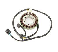 ElectroSport Statore Magnete per volano Suzuki DR650 (96-05)