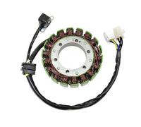 ElectroSport Statore Magnete per volano Suzuki LTF 500F 02-07