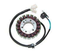 ElectroSport Statore Magnete per volano YAMAHA YZF 600R (95-07)