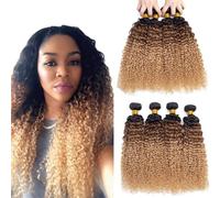 ELEE'S HAIR 4 fasci di capelli umani ricci crespi brasiliani ombré (1B/30/27 25-66 cm)