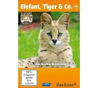 Elefant, Tiger & Co. - Teil 24
