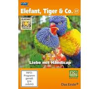Elefant, Tiger & Co. - Teil 37: Liebe mit Handicap