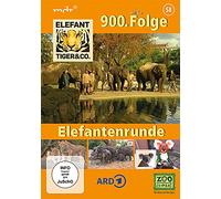 Elefant, Tiger & Co. - Teil 58 - Elefantenrunde