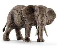 ELEFANTE AFRICANO FEMMINA