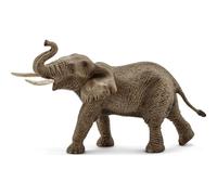 Elefante africano - maschio