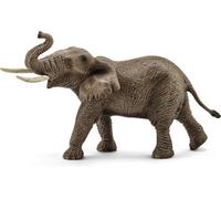 ELEFANTE AFRICANO MASCHIO