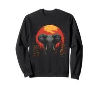 Elefante al tramonto nella fauna selvatica della Felpa