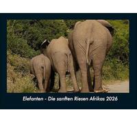 Elefanten - Die sanften Riesen Afrikas 2026 Fotokalender DIN A4: Monatskalender mit Bild-Motiven von Haustieren, Bauernhof, wilden Tieren und Raubtieren