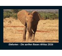 Elefanten - Die sanften Riesen Afrikas 2026 Fotokalender DIN A5: Monatskalender mit Bild-Motiven von Haustieren, Bauernhof, wilden Tieren und Raubtieren