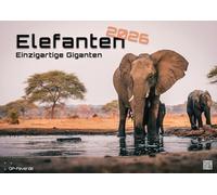Elefanten - einzigartige Giganten - 2026 - Kalender DIN A2: Der Wandkalender mit den schönsten Elefant-Motiven für das Jahr 2026 im extragroßen Format DIN A2 (ca. 60 x 42 cm)!