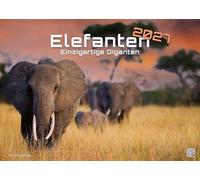 Elefanten - einzigartige Giganten - 2027 - Kalender DIN A2: Der Wandkalender mit den schönsten Elefant-Motiven für das Jahr 2027 im extragroßen Format DIN A2 (ca. 60 x 42 cm)!