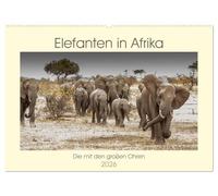 Elefanten in Afrika - Die mit den großen Ohren (Wandkalender 2026 DIN A2 quer), CALVENDO Monatskalender: Imponierende Geschöpfe mit ausgeprägtem Familiensinn