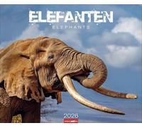 Elefanten Kalender 2026: Die sanften Riesen Afrikas, porträtiert in einem großen Wand-Kalender. Hochwertiger Fotokalender voll beeindruckender Aufnahmen. 55 x 46 cm Querformat