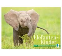 Elefanten Kinder: Winzlinge im Land der Riesen (Wandkalender 2026 DIN A4 quer), CALVENDO Monatskalender: Afrikanische Elefantenbabys spielen im Schutz Ihrer Herde