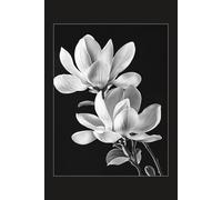 Elegance in Bloom: A Timeless Journal: A Chic and Elegant 6x9 Notebook with 200 Lined Pages for Reflection, Writing, and Creativity.”
