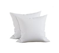 Elegant Comfort Confezione da 2 inserti per cuscino in policotone con imbottitura in fibra siliconata, 40,6 x 40,6 cm, colore bianco, 2 pezzi