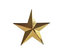 Elegant Five Spoceed Star Revers Pin Stylish Metal Madge for Costumi Decoration, Taglia unica, come descritto
