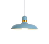 Elegant Hanging Light Color Pendant Lights Single Head Chandelier 1-Light Traditional Ceiling Lighting Fixture for Kitchen Island Living Room Dining Room Bar