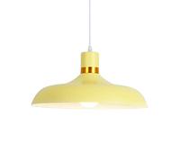Elegant Hanging Light Color Pendant Lights Single Head Chandelier 1-Light Traditional Ceiling Lighting Fixture for Kitchen Island Living Room Dining Room Bar
