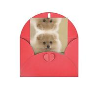 Elegante biglietto di auguri rosso con busta abbinata, con simpatico cane della Pomerania, vuoto, per compleanno, San Valentino, matrimonio