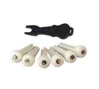 Elegante Bone Chitarra Ponte Perni Set Ponte Osso Perni Del Ponte Accessori Stringa Texture
