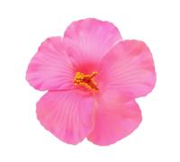 Elegante clip per capelli floreali per donne e adolescenti con colori vivaci realistici per eventi e riunioni piscina