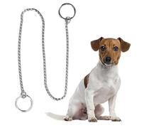 Elegante Collare a Strozzo per Cani in Acciaio Inossidabile, Catena per Collare a Slittamento con Catena a P in Metallo per Cuccioli, Collare a Slittamento per Esposizione di Animali(3.0mm*40cm)