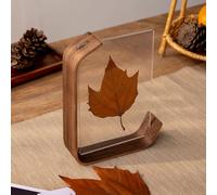 Elegante cornice espositiva erbario per collezioni botaniche e decorazioni