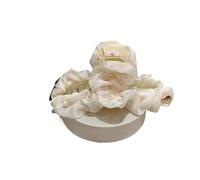 Elegante fermaglio for capelli a forma di squalo con perle in rete for uno styling dei capelli senza sforzo(Bianca)