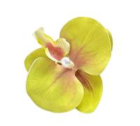 Elegante fermaglio per capelli a forma di fiore, in acrilico, per matrimoni e feste