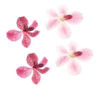 Elegante fermaglio per capelli con fiore artificiale, accessorio per lo styling, facile da indossare, per viaggi e festival musicali, 4 pezzi, accessorio per capelli per eventi in spiaggia
