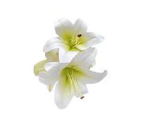 Elegante fermaglio per capelli con in stile cinese Accessori eleganti per capelli Posticci alla da donna per clip in plastica decorativa per occasioni speciali