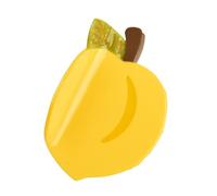 Elegante fermaglio per capelli in acetato di frutta, accessorio unico per capelli, ideale per foto scolastiche e uso quotidiano