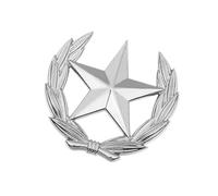 Elegante grano e stella emblemi spilla in lega vintage pin grano stella spilla pin per abbigliamento accessori risvolto decorazioni, Grande, Metallo
