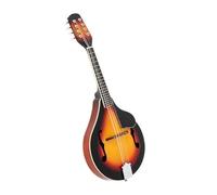 Elegante Mandolino Con Battipenna Strumento Mandolino Colorato