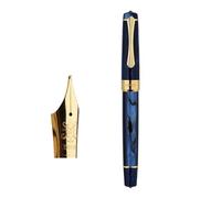 Elegante penna stilografica a pistone inchiostro convertitore calligrafia per uomini donne studenti principianti scrittura a mano pratica ufficio con