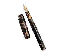 Elegante penna stilografica per calligrafia, scrittura coerente, per uomini e donne, professionale, dirigente, ufficio, bella
