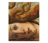 Elegante Poster Wall Art della Nascita di Venere di Botticelli Qualità Premium