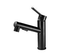 Elegante rubinetto da cucina con spruzzatore estraibile a doppia funzione miscelatore per lavabo da bagno rubinetto rotante per vasca da bagno e lavabo elegante rubinetto doccia per case moderne