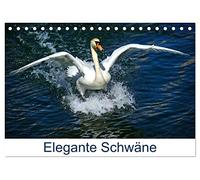 Elegante Schwäne (Tischkalender 2026 DIN A5 quer), CALVENDO Monatskalender: Der Höckerschwan - Cygnus olor