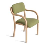 Elegante sedia da pranzo in legno massello verde con braccioli, poltrona imbottita per cucina e soggiorno, sedia moderna da ufficio, sedia da salotto e bar, peso massimo 150 kg